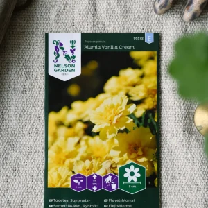 Tagetes, Sammetstagetes Alumia Vanilla Cream