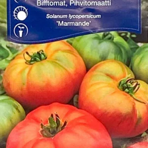 Bifftomat Marmande