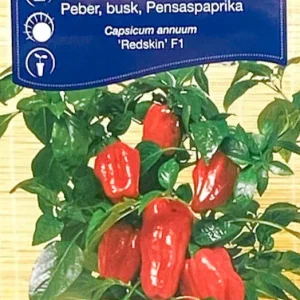 Paprika Redskin