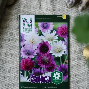 Pappersblomster blandade färger