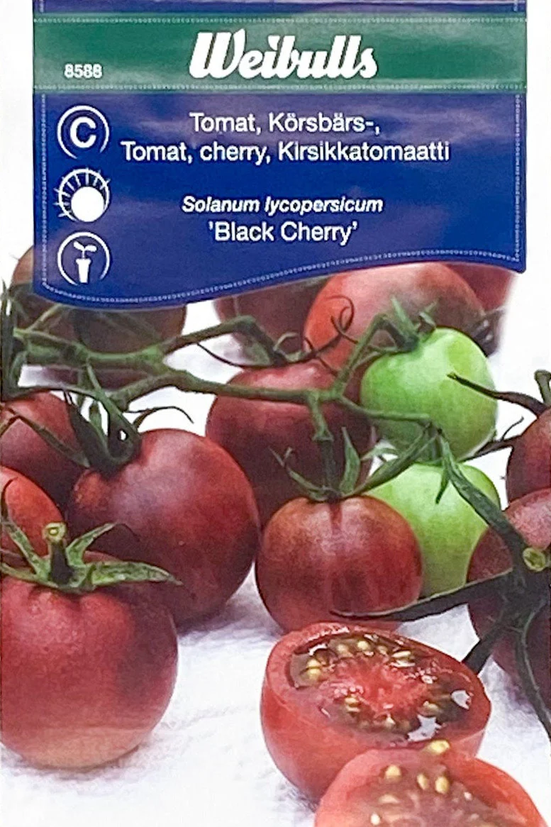 Körsbärstomat Black Cherry