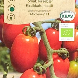 Körsbärstomat Monterrey