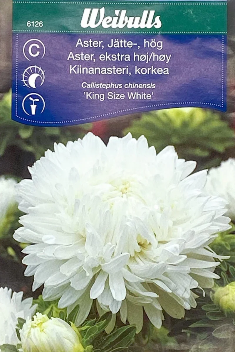 Jätteaster King size white