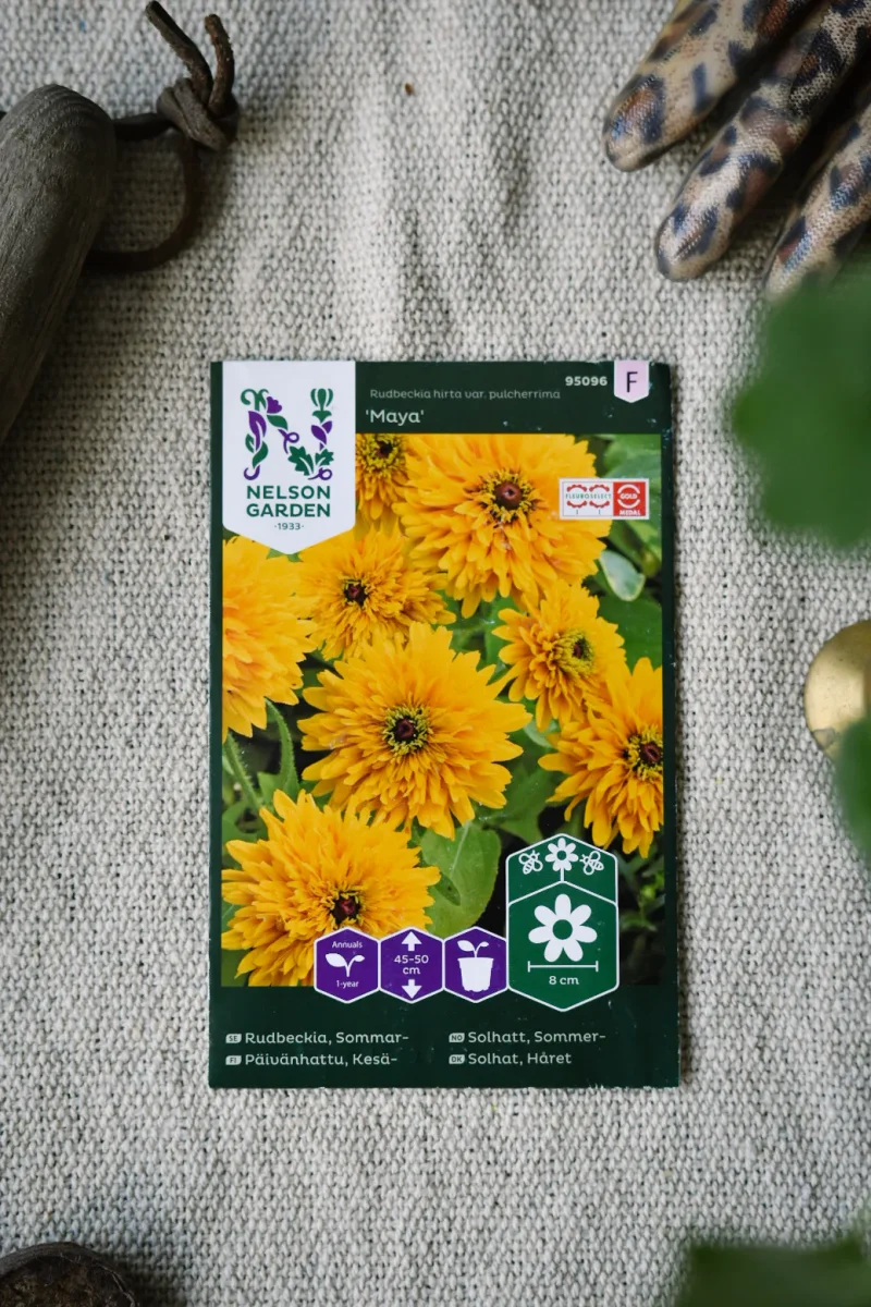 Sommarrudbeckia, Maya - Bild 2
