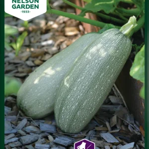 Squash Emperol
